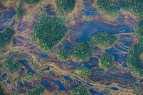 String Bogs De Orsolya Haarberg De Jakobsli