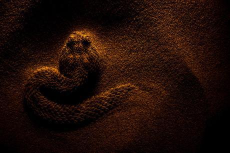 Semi Enterrada De Javier Aznar De Madrid Madrid