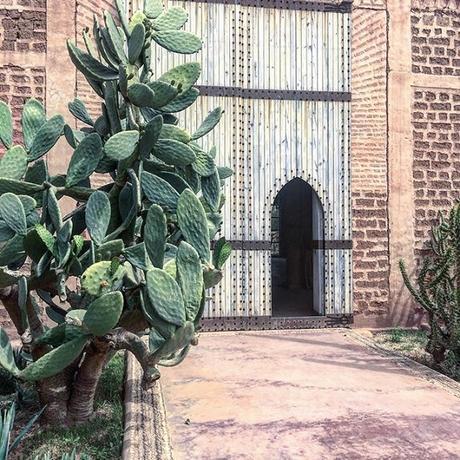 moroccan architecture, wooden doors and cacti