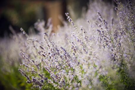 destination wedding costa brava www.bodasdecuento.com