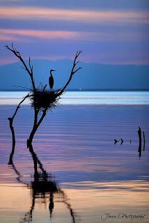 TOMARÉ DE LOS NIÑOS...