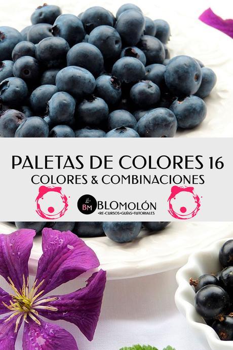Paletas De Colores 16