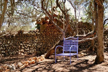 ANTES Y DESPUÉS; CÓMO ACONDICIONAR UN BOSQUE