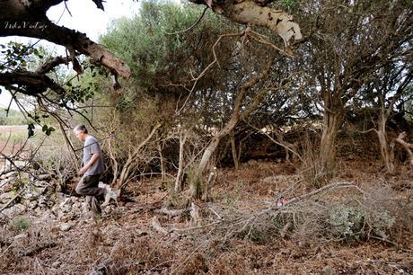 ANTES Y DESPUÉS; CÓMO ACONDICIONAR UN BOSQUE