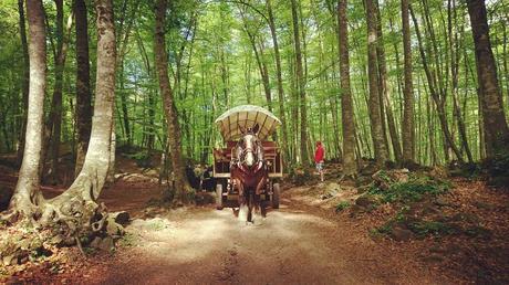 Rutas de 3 días por Girona. ¡Repetirás! Rutas de 3 días por Girona. ¡Repetirás!