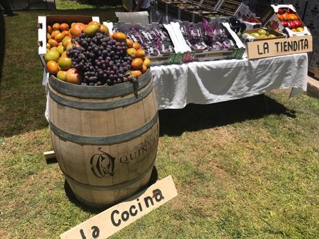 Se realiza la primer “Vendimia Potosina 2017”