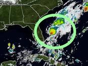 tormenta "Emily" debilita depresión, tras tocar tierra Florida(EE.UU)