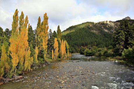Matraca en el Meliquina