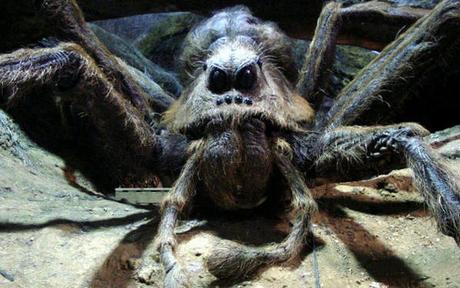 Resultado de imagen de aragog