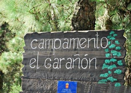 visita al campamento el garañon