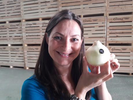 CEBOLLA FUENTES DE EBRO