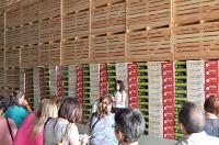 CEBOLLA FUENTES DE EBRO