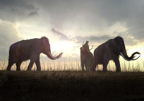 recreación de un mamut