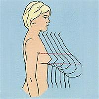 EL TAMAÑO IMPORTA????