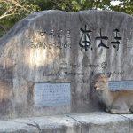 Parque de Nara