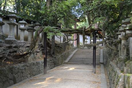 Kasuga Taisha