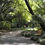 Jardín Nacional de Shinjuku Gyoen