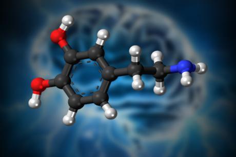 La espiritualidad humana se habría iniciado con el chamanismo