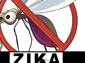 Conocé Todo Sobre Zika Para Agarre Desprevenido