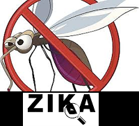 Virus del Zika, Sintomas del zika, Tiempo de incubacion del virus zika, como prevenirse del zika, tratamiento del virus del zika, todo sobre el Zika, 