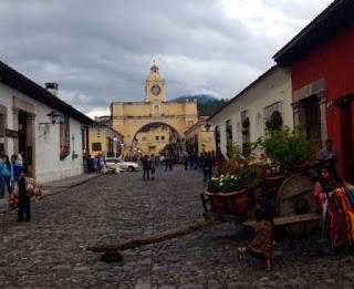 Los alrededores de Antigua (Ciudad, Pueblos Cercanos, Volcán Pacaya, Cafetal y Macadamia)