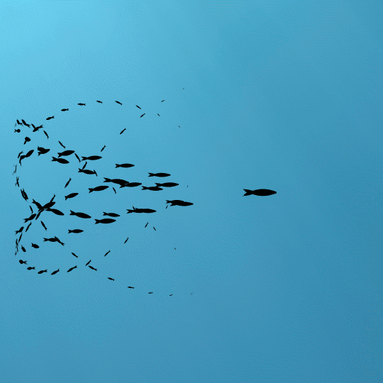 Minimalismo y multitud: El enjambre de GIFs animados de Frédéric Vayssouze-Faure