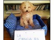 años podrás charlar perro.