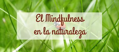 mindfulness-naturaleza