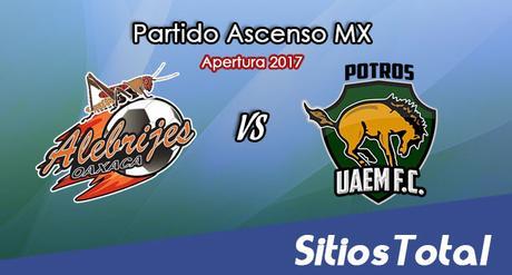 Alebrijes de Oaxaca vs Potros UAEM en Vivo – Online, Por TV, Radio en Linea, MxM – Apertura 2017 – Ascenso MX