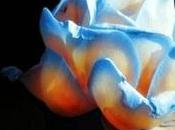 Mathyu Moore: pareció comercial seudónimo habla inglesa’