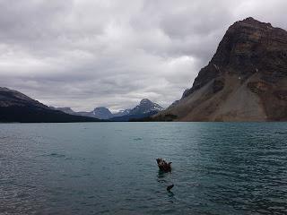 SENDERISMO EN YOHO: BOW GLACIER FALLS