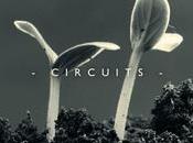 Viernes medioambiental