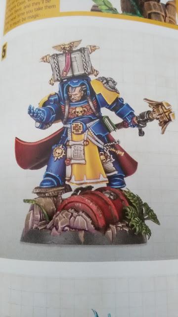 Y por ultimo, helechos