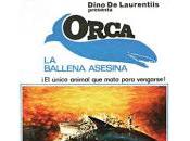 Orcas estrecho (I): sueño cumplido