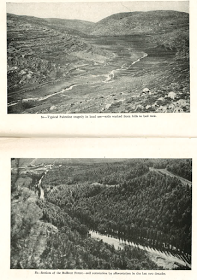 Tierra de leche y miel.