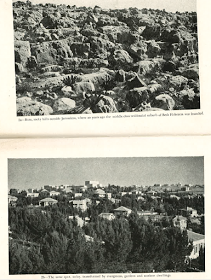 Tierra de leche y miel.