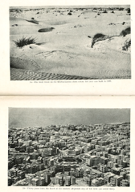 Tierra de leche y miel.