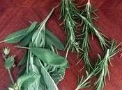 Italo Calvino Estábamos bien todos juntos, bien...