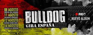 Bulldog