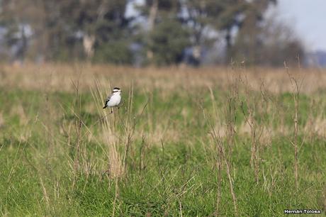 Salida en el día de la Bandera