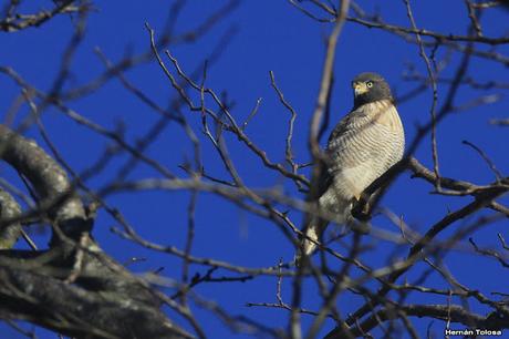 Salida en el día de la Bandera