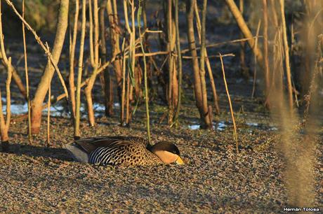 Salida en el día de la Bandera