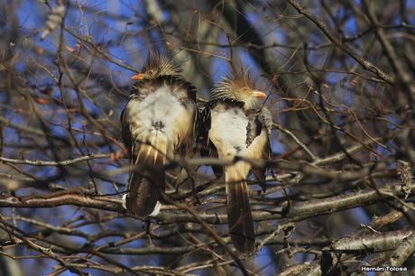 Salida en el día de la Bandera