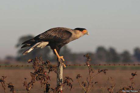 Salida en el día de la Bandera