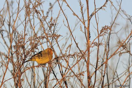Salida en el día de la Bandera