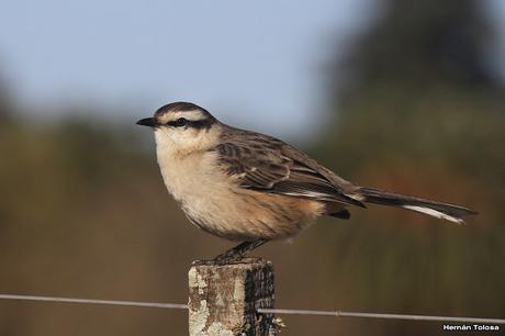 Salida en el día de la Bandera
