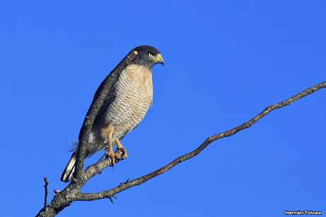 Salida en el día de la Bandera