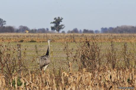 Salida en el día de la Bandera