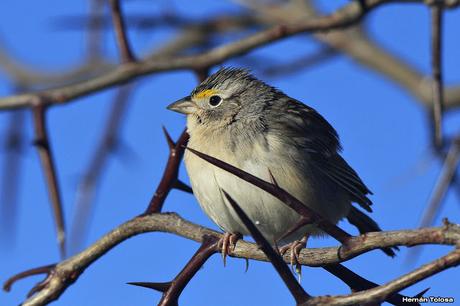 Salida en el día de la Bandera
