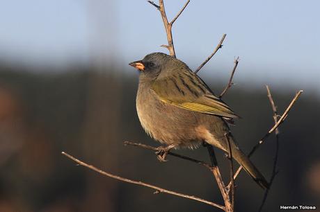 Salida en el día de la Bandera